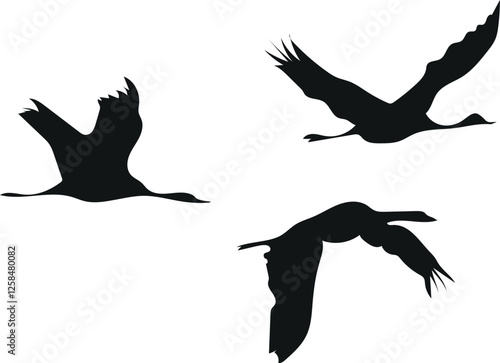 Kraniche fliegend