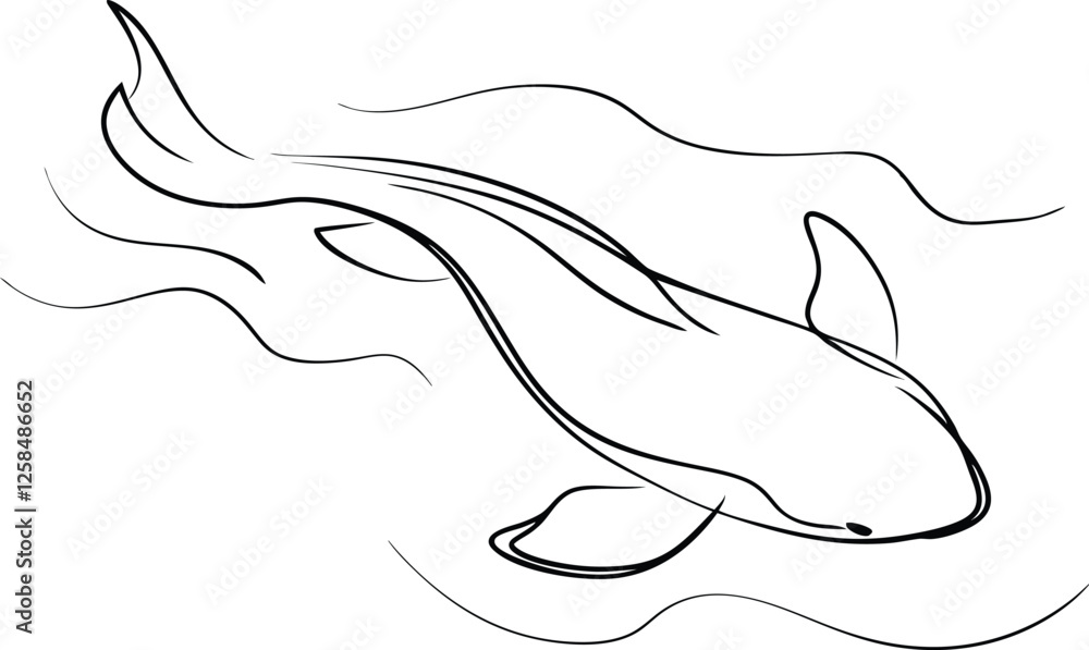 Fototapeta premium Elegant Line Art Koi Fish Swimming Underwater Design
