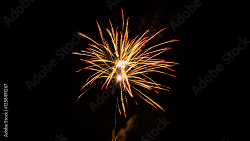 Wallpaper Mural Colorful fireworks in the night sky Torontodigital.ca