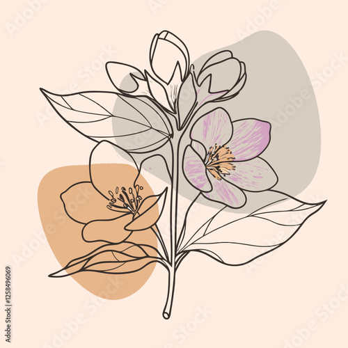 Minimalist Jasmine Flower Line Art with Abstract Colors  , Elegant line art illustration of a jasmine flower branch with soft pastel accents and abstract shapes, perfect for modern and botanical-theme