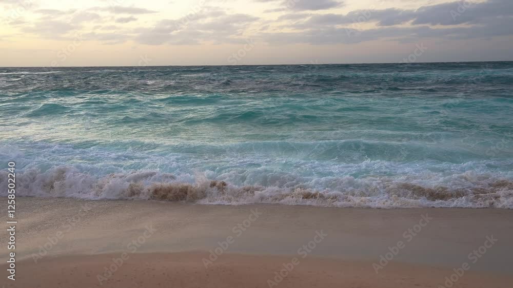 A tranquil beach scene in Hawaii at sunset. Gentle waves roll onto the sandy shore, with turquoise water and golden skies partially covered by clouds. A tranquil beach scene in Hawaii at sunset. Gentle waves roll onto the sandy shore, with turquoise water and golden skies partially covered by clouds.