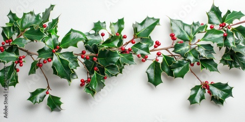 A festive wreath made entirely of holly leaves and berries, placed on a white wall.