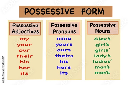 Hand drawing picture of word cards  about Possessive Form with vocabulary . Illustration for education. Concept English grammar teaching. photo