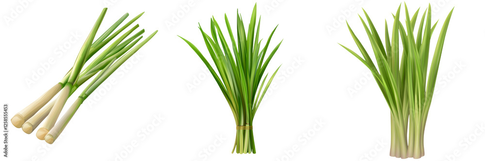 Fresh lemongrass stalks arranged in bundle, showcasing vibrant green colors Fresh lemongrass stalks arranged in bundle, showcasing vibrant green colors
