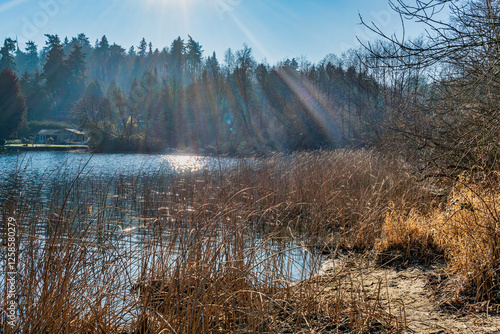 Mercer Island Light Rays photo