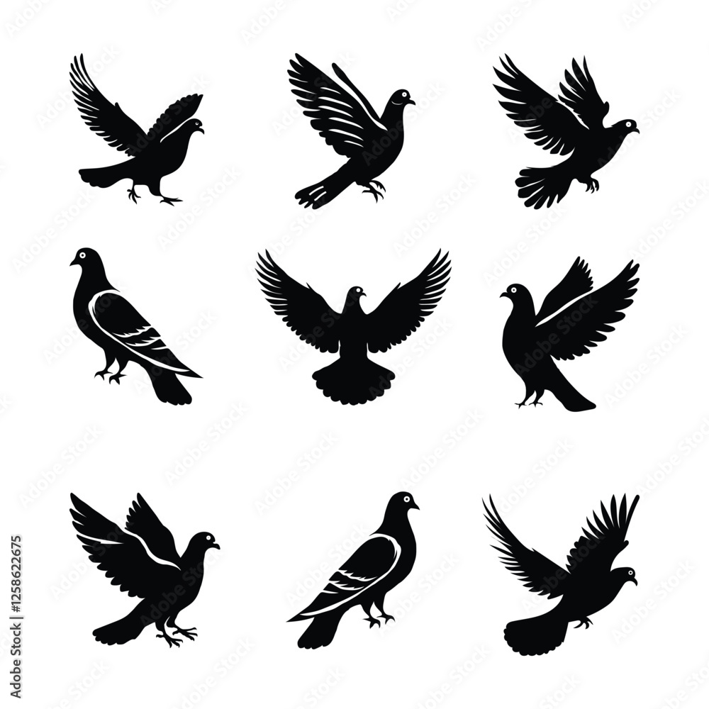 Pigeon Set illustration vector on white background Pigeon Set illustration vector on white background