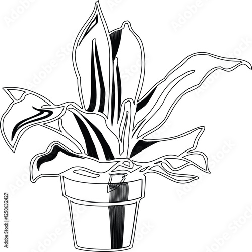 Flowers are one of the most widely planted home decoration elements