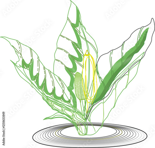 Flowers are one of the most widely planted home decoration elements