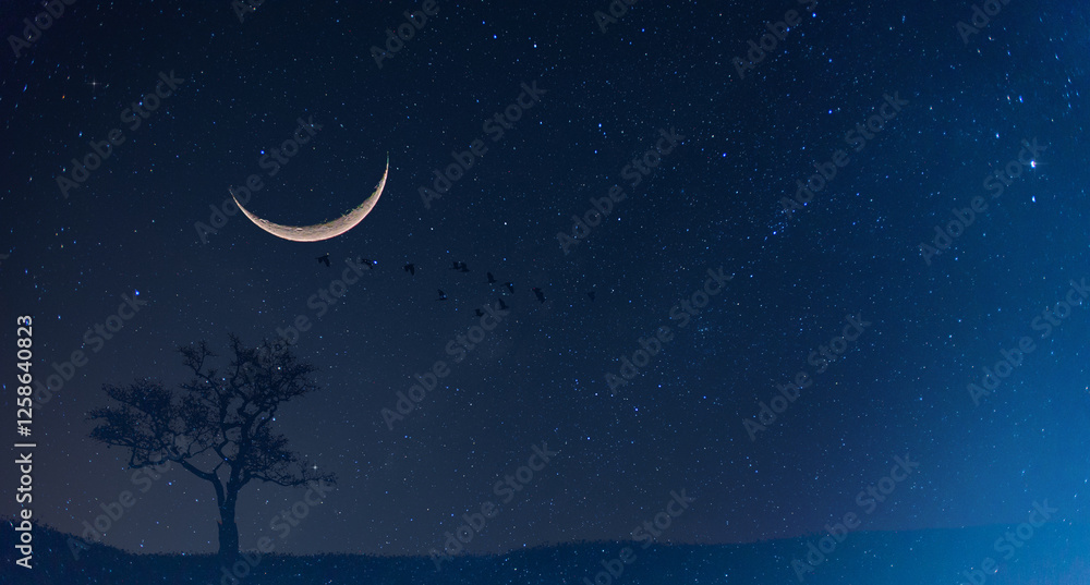 Fototapeta premium very beautiful night blue sky and star background.with grain and select white balance.