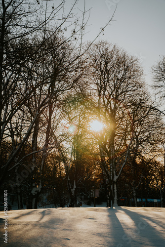 Fototapeta Naklejka Na Ścianę i Meble -  Mroźny słoneczny dzień