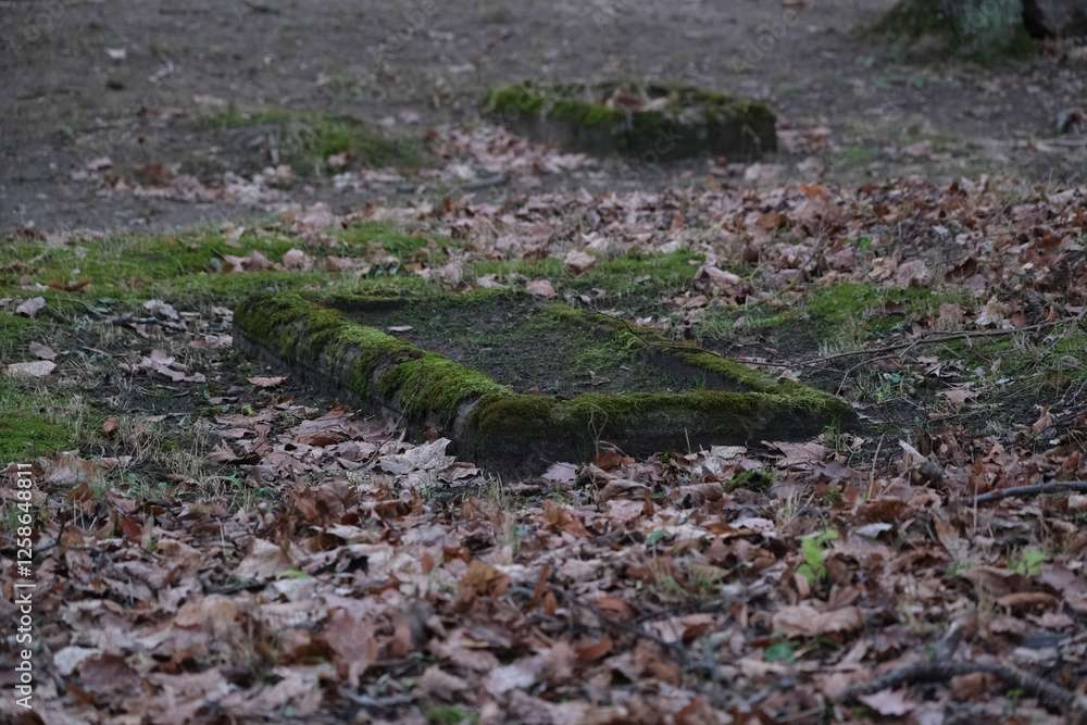 moss covered rectangle border that marks old grave. Old Latvian country cemetery. moss covered rectangle border that marks old grave. Old Latvian country cemetery.