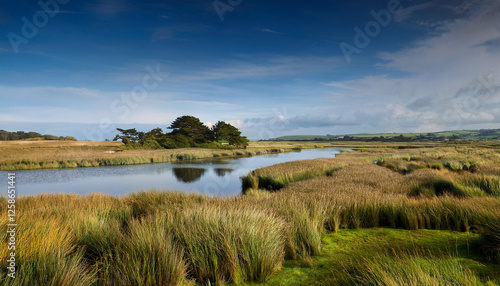 landscape in seaton wetlands nature reserve devon photo