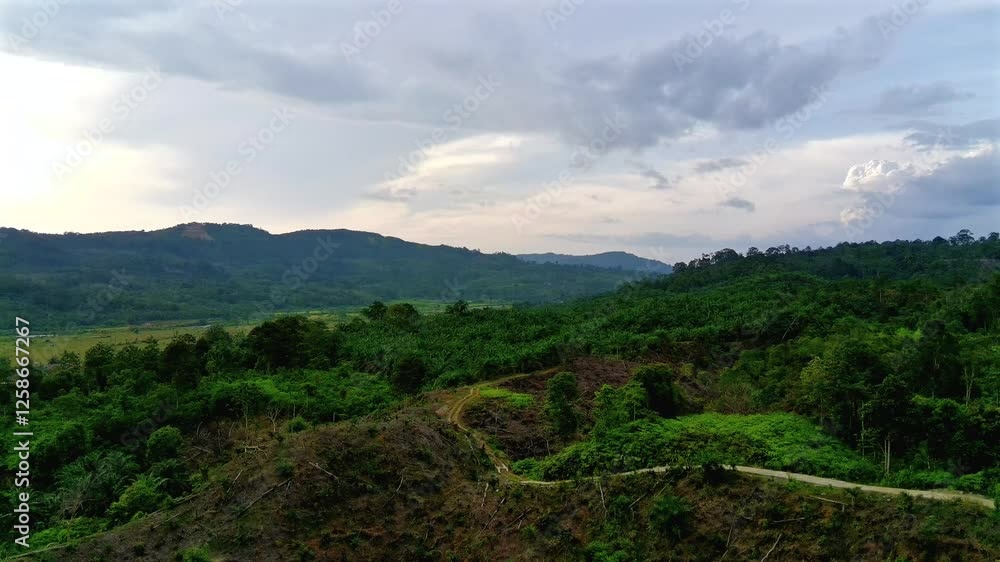 Although partially cleared for farming, the hill remains a beautiful and lush green landscape Although partially cleared for farming, the hill remains a beautiful and lush green landscape