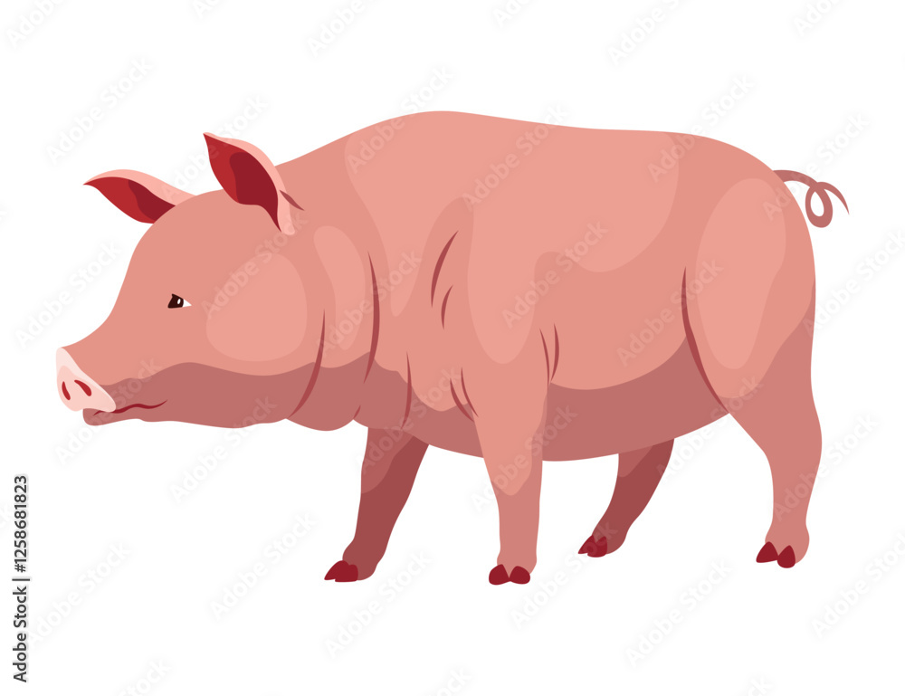 Pig set flat cartoon isolated on white background. Pink pig vector illustration Pig set flat cartoon isolated on white background. Pink pig vector illustration