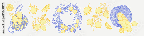 Lemon Harvest Illustration Set. Hand drawn vector drawing of citrus branch and wreath. Amalfi Coastal Elements in doodle sketch style for sea beach party invitations.