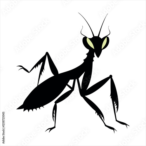 vector illustration of a spider