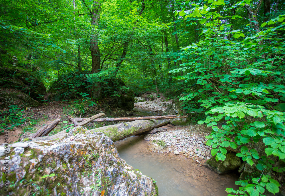Obraz premium the sources of the river-morning walks along the riverbed with a view of the structure of the banks on a spring morning