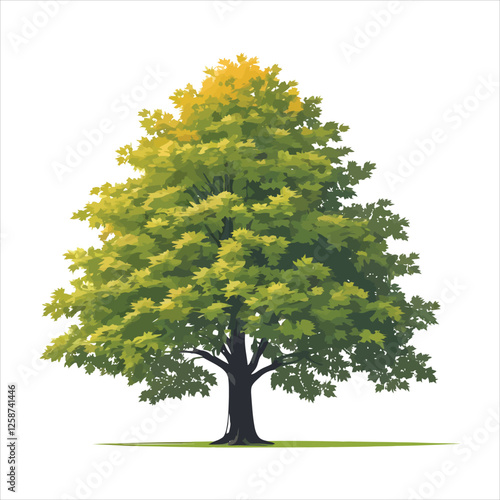 Vibrant Illustration of a Lush Green Maple Tree/A detailed, digitally painted illustration of a full, healthy maple tree.