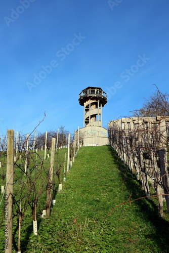 Aussichtsturm im Freiburger Seepark photo