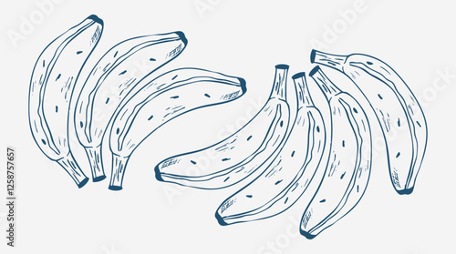 bunch of banana isolated on white background, vector banana doodle