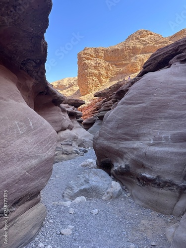 red canyon