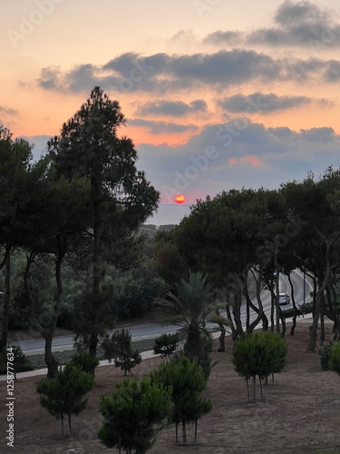 sunset