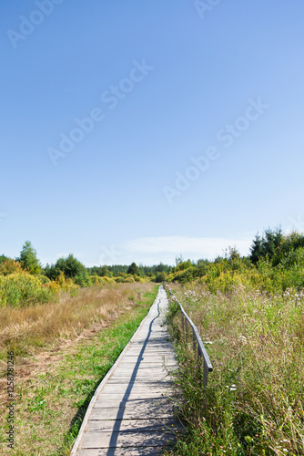A narrow wooden boardwalk stretches through a grassy meadow with wildflowers and bushes, leading toward distant trees under a bright, clear blue sky