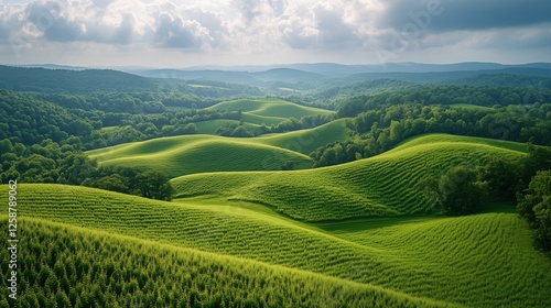 Rolling green hills and expansive valleys under cloudy skies in a serene land...