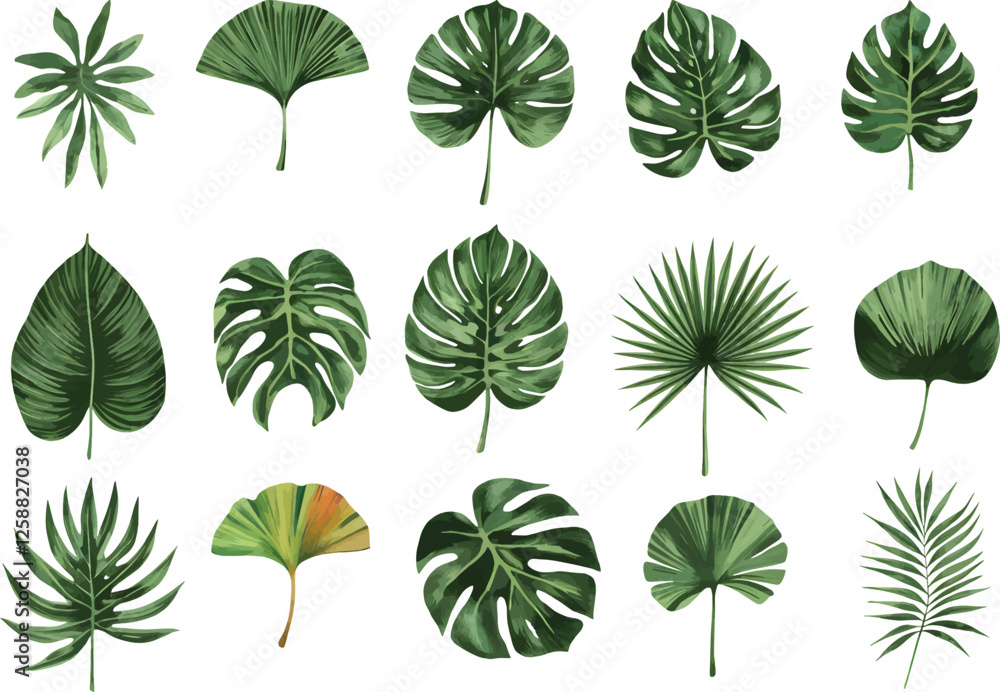 Obraz premium Watercolor Exotic tropical leaves Vcetor. Exotic plants, palm leaves, isolated on white background.