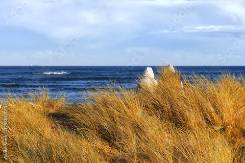 Elderly couple sitting protected by a dune and grass with scenic ocean view