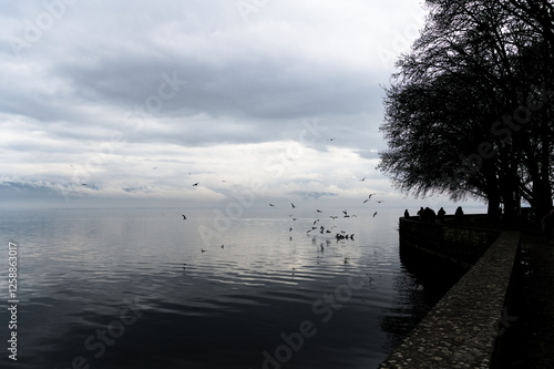 Birds flying over lake Pamvotis in Ioannina, Greece photo