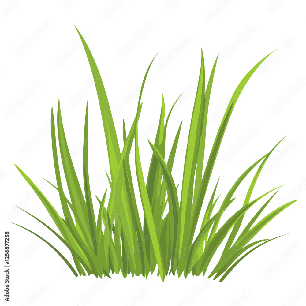 Grass illustration plant green vector Grass illustration plant green vector