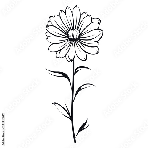 Wallpaper Mural Aster art illustration drawing vector Torontodigital.ca