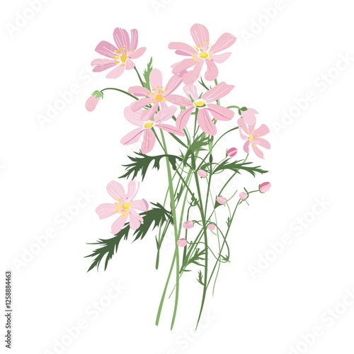 Soft pink wildflowers art illustration petals vector