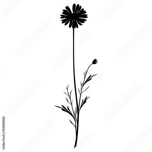 Wallpaper Mural Wild flower Daisy Fleabane illustration silhouette minimalist vector Torontodigital.ca