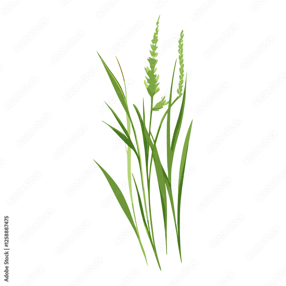 Naklejka premium Flat vector of wild grass illustration plant green vector