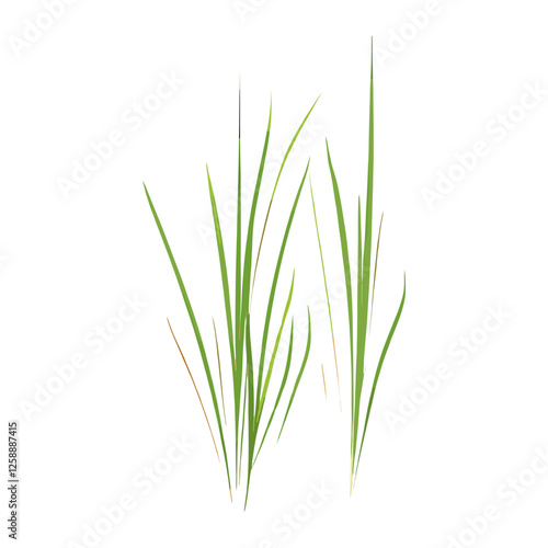 Flat vector of wild grass illustration green art vector