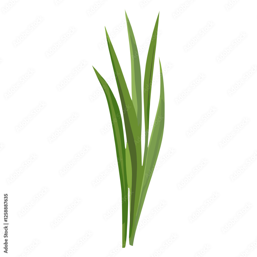 Flat vector of wild grass illustration plant green vector Flat vector of wild grass illustration plant green vector