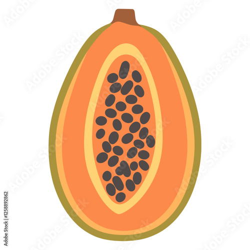 Papaya half illustration fruit food vector