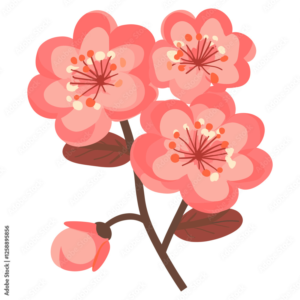 Fototapeta premium Cherry blossom flower illustration art vector