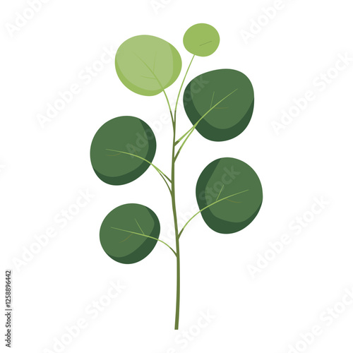 Tropical Eucalyptus leaf green illustration plant vector