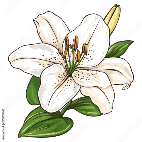 White lily sticker vector illustration flower decorative vector