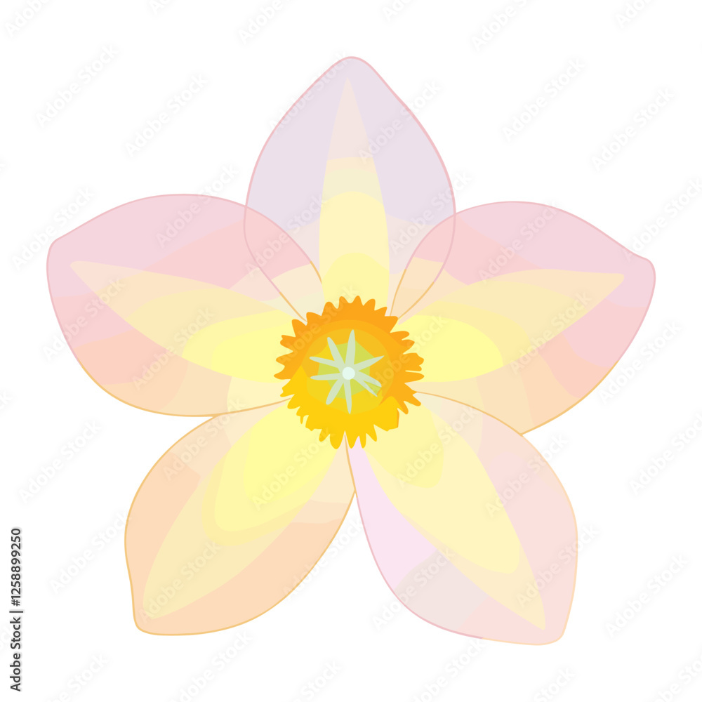 Narcissus illustration flower floral vector Narcissus illustration flower floral vector