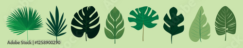 Tropical leaves vector illustration, isolated vector set