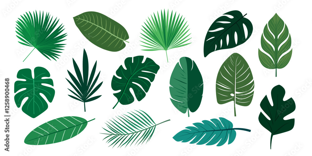 Tropical leaves vector illustration, isolated vector set Tropical leaves vector illustration, isolated vector set