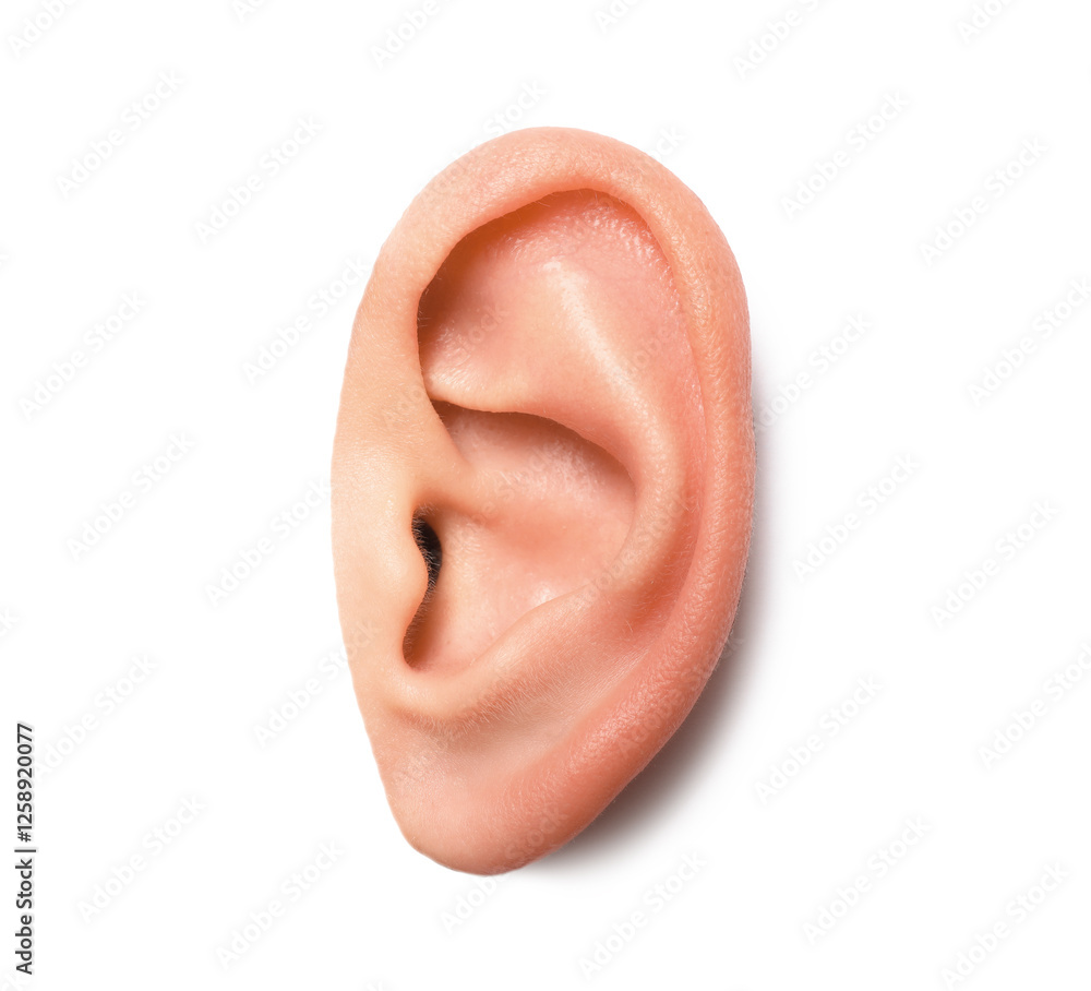 Fototapeta premium Woman on white background, closeup of ear