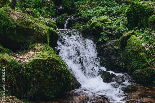 Mountain river water flow in green Alps forest. River stream waterfall in forest landscape. Scenic view of rocky mountains covered with snow located near hooker river flowing through rocks on sunny