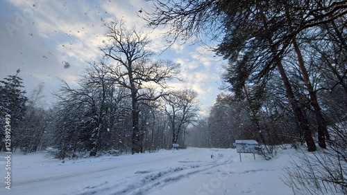 snow covered road