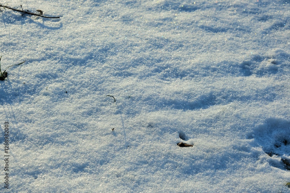 śnieg jako tło śnieg jako tło