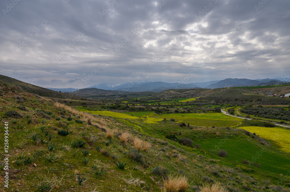 Naklejka premium Overcast hills reveal vibrant fields in a quiet valley under a dramatic sky